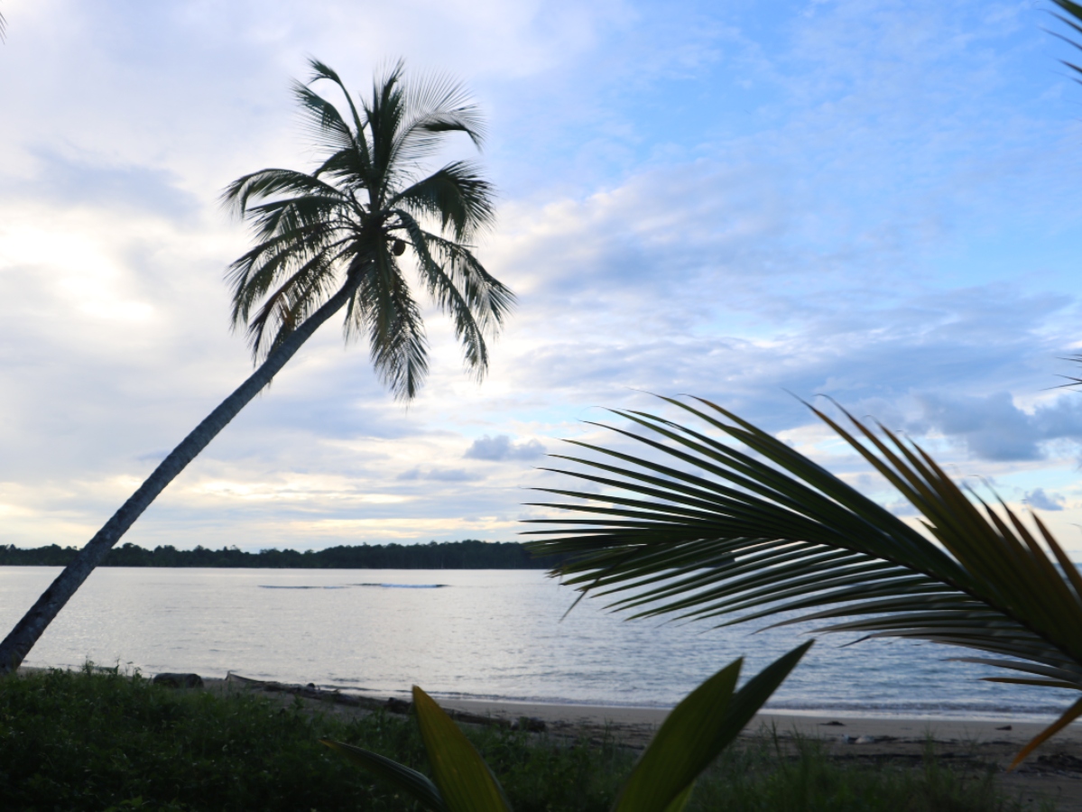 Bocas Del Toro Panam Se Consolida Como Uno De Los Destinos Imperdibles